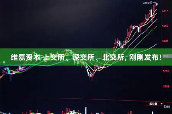 维嘉资本 上交所、深交所、北交所, 刚刚发布!